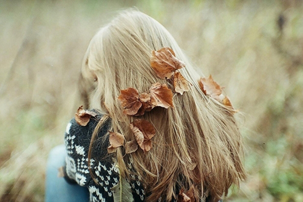 blog